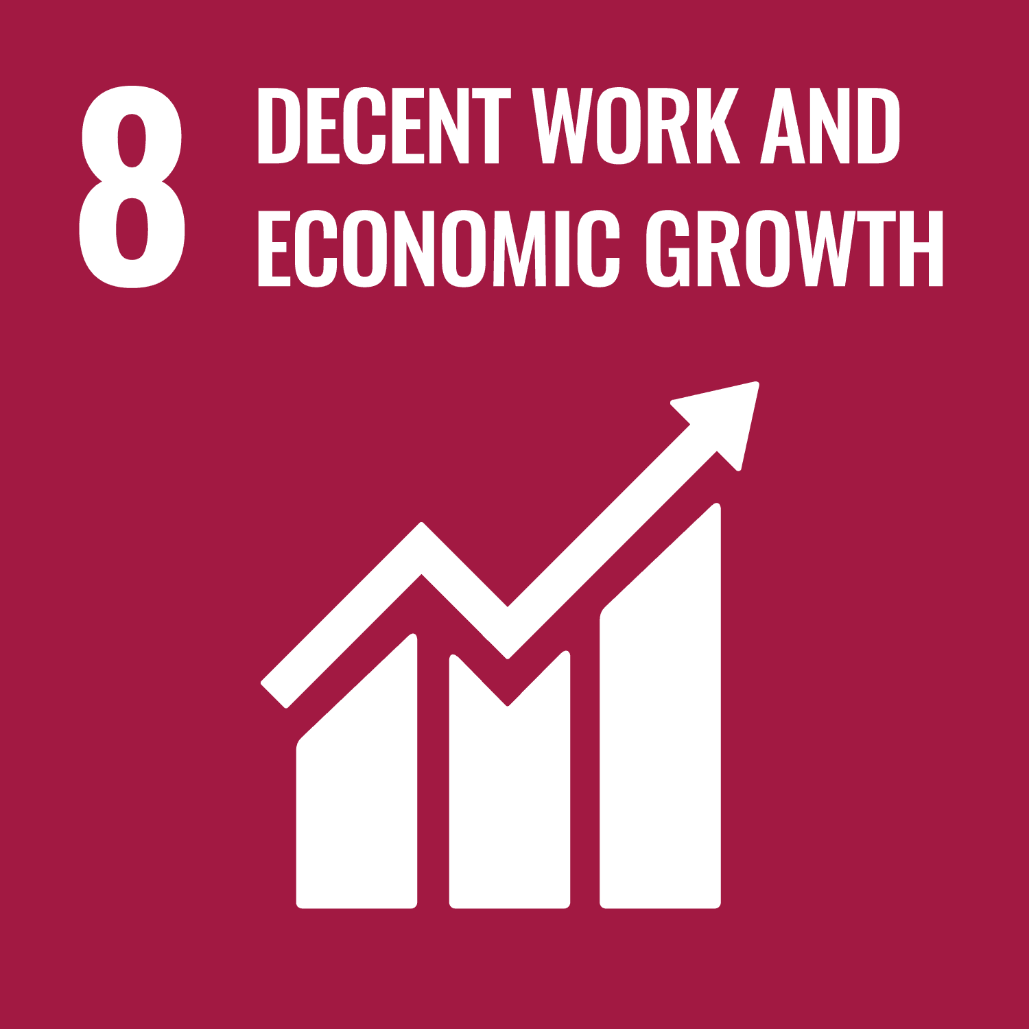 (SDG 8: Decent Work and Economic Growth)