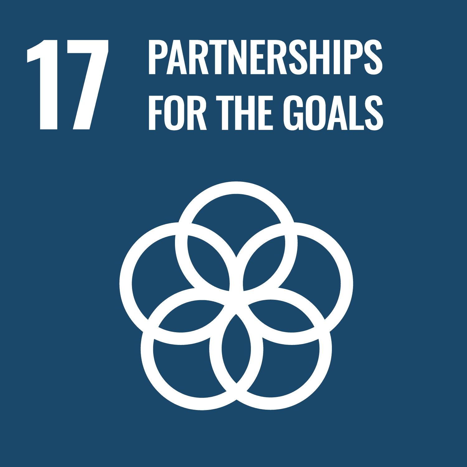 (SDG 17: Partnerships for the Goals)
